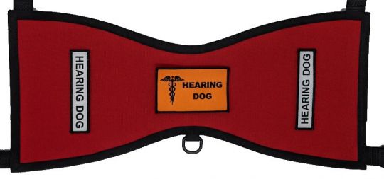 hearing dog vest