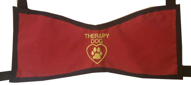 therapy in embroidered vest embroidered therapy vest therapy in embroidered vest embroidered therapy vest