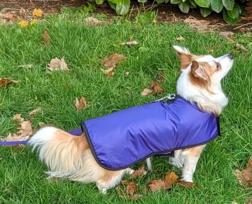 Raincoat/Cozy Coat - Reversable