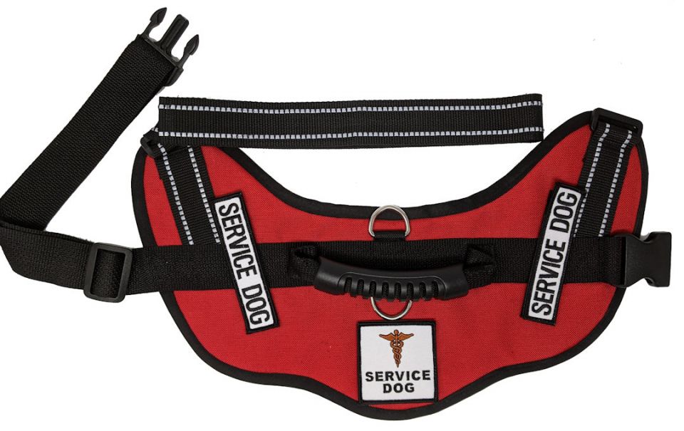 Patch Brodé 'Service Dog' - 10x3.8cm - Dos Crochet, Fourni Avec Bande Boucle - Pour Harnais, Gilet, Sac