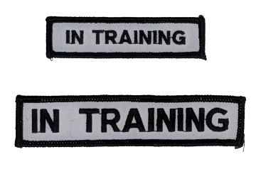 IN TRAINING BAR PATCH