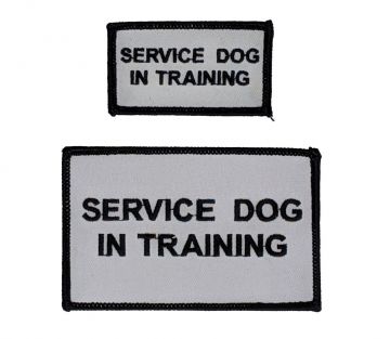 SERVICE DOG IN TRAINING