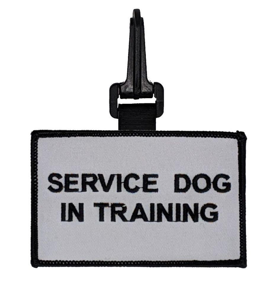 raspberryfield CLIP ON SERVICE DOG IN TRAINING
