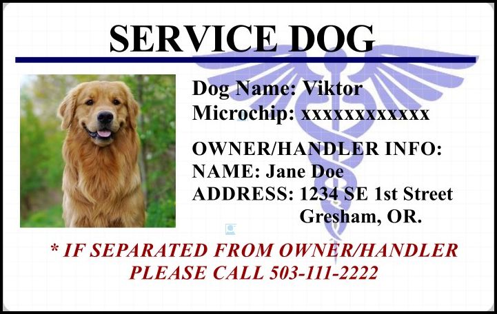 Service Dog Id Cards