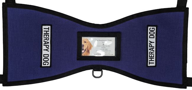 Service dog vest with id holder hotsell