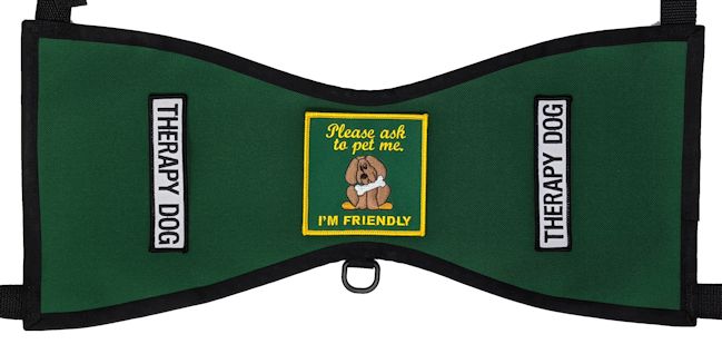 THERAPY DOG IN TRAINING PLEASE PET ME Service Dog vest patch 