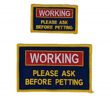 WORKING PATCH PLEASE ASK TO PET