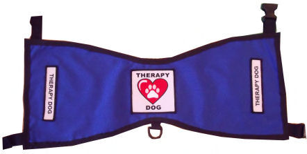therapy in embroidered vest raspberryfield therapy in embroidered vest raspberryfield